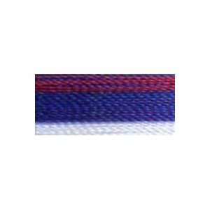   Embroidery Thread 2 ply 40Weight 120d 1100yds Variegated Flag (3 Pack