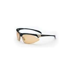   Sunglasses, Shiny Black Frame/Brown Lens, 12921