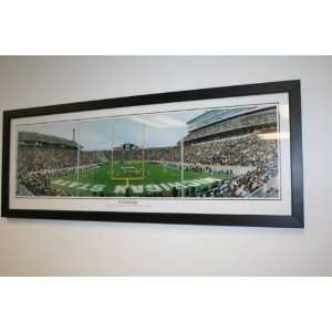  19 Yard Line MSU Spartan Stadium Panoramic Print Framed 