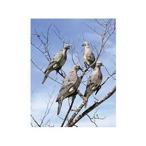  Edge Dove Decoys ClipOn   4 Pack