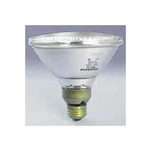     65PAR38/SP PAR38 Reflector Flood Spot Light Bulb: Home Improvement