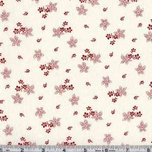  45 Wide Never Enough Romance Delicate Floral Cluster 