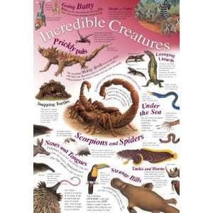  (21x30) Laminated Incredible Creatures Animals Educational 