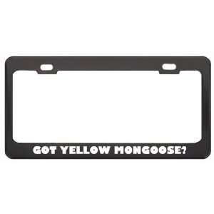 Got Yellow Mongoose? Animals Pets Black Metal License Plate Frame 