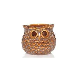  Night Owl Tealight Candle Holder: Home & Kitchen
