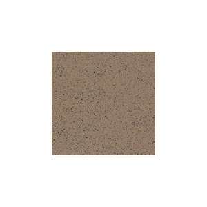  Armstrong Flooring 52149 Commercial Vinyl Composition Tile 