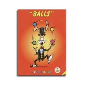  The Beginners Juggling Book by Mr Babache Toys & Games