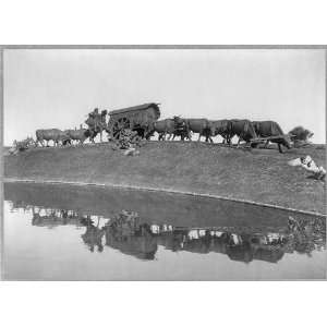 La Carreta,Large ox drawn covered cart,Uruguayan immigrants?,Juan Jose 