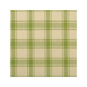  Plaid/check Spring Green by Duralee Fabric Arts, Crafts 