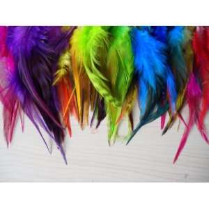  100 Colorful Rooster Feather Hair Extensions: Beauty