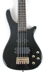 Douglas WEB 825 BK Bass Guitar 5 String New  