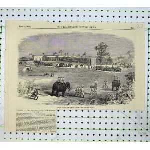  1855 Indian Railway Burdwan Station Train Elephants