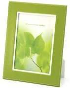 Product Image. Title: Accent Fern 5x7 Picture Frame