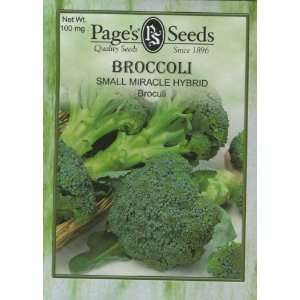  Broccoli Small Miracle Hybrid Patio, Lawn & Garden