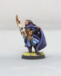 Painted Reaper Fantasy Human Sorcerer Miniature D&D  