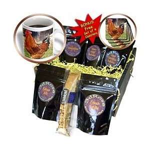   Farm  Animal Photography   Coffee Gift Baskets   Coffee Gift Basket