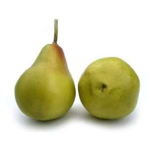  Artificial Green Bartlett Pear, Box of 12 