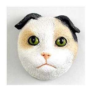  Tortoise & White Scottish Fold Cat Magnet: Home & Kitchen