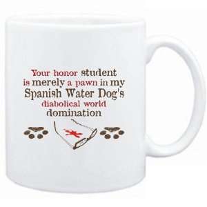 Mug White  Your honor student is merely a pawn in my Spanish Water 