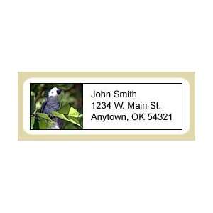  African Gray Parrot Address Labels