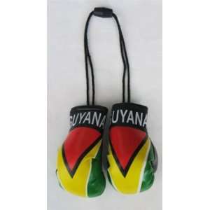  Guyana   Mini Boxing Gloves: Automotive