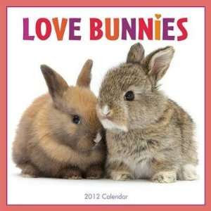  Love Bunnies 2012 Wall Calendar 12 X 12