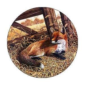 Fox Tales Spare Tire Cover:  Sports & Outdoors