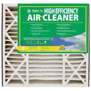   Efficiency Air Bear Cleaner Filter 16x20x5 (Pack of 2): Home