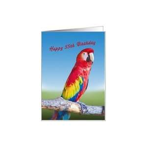  Birthday, 55th, Macaw Parrot Card: Toys & Games