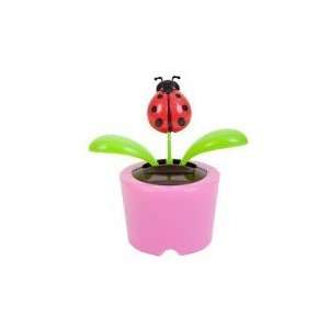   , Desk Accessory, Dancing Insect / Flower Plant, Ladybug in PINK Pot