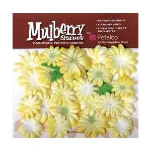  Paper Tie Dye Small Daisies 24/Pkg   Yellow: Arts, Crafts & Sewing