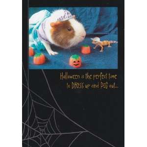   Card Halloween Halloween is the perfect time to dress up and pig out