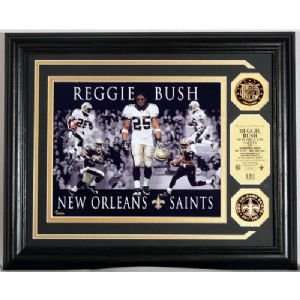 Reggie Bush Dominance Photo Mint W/ 2 24Kt Gold Coins  