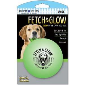  Fetch & Glow Ball   Medium (Buddys Glow Ball Jr.) Pet 