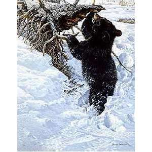   Seerey Lester   In Deep Black Bear Cub Artists Proof