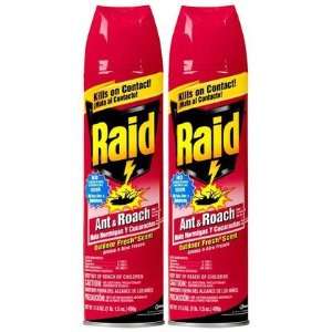 Raid Ant & Roach Killer Insecticide Spray, Outdoor Fresh, 17.5 oz 2 ct 