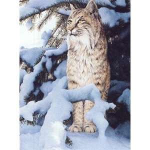  Ron Van Gilder   Winter Watch Bobcat Artists Proof