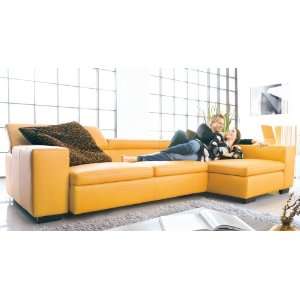 Italian Design Leather Sectional Sofa 