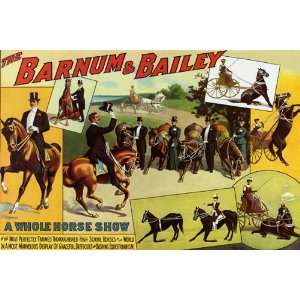  TRAINED HIGH SCHOOL HORSE SHOW CIRCUS SMALL VINTAGE POSTER 