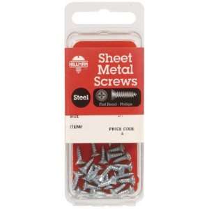  Hillman Zinc Plated Steel Sheet Metal Screws: Home 