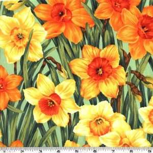  45 Wide Flower of the Month March 07 Vivid Daffodil 
