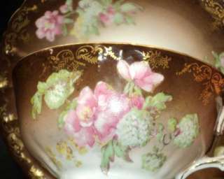 Imperial CROWN china Austria Antique Simply Tea cup and saucer  