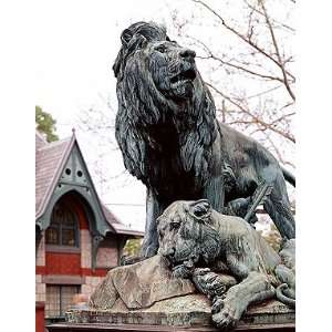  Lions Statue, Philadelphia Zoo Photograph   Beautiful 16 