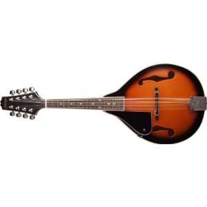  Stagg M20 LH Bluegrass Mandolin with Basswood Top   Violin 