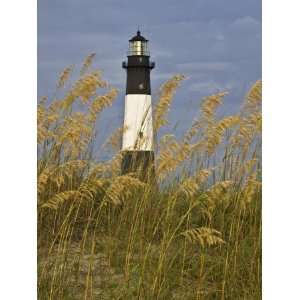  Lighthouse and Seaoats in Early Mooring, Tybee Island 