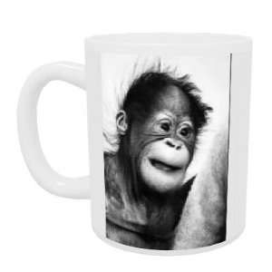  A cute baby orangutan   Mug   Standard Size Kitchen 