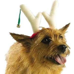  Zanies Reindeer Antlers for Dogs Large: Pet Supplies