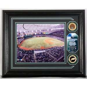  Tampa Bay Rays Tropicana Field 24KT Gold and Infield Dirt 