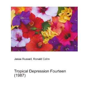 Tropical Depression Fourteen (1987) Ronald Cohn Jesse Russell  