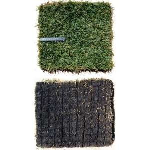  Meyer Zoysia Grass Plugs/ Fully Cut: Patio, Lawn & Garden
